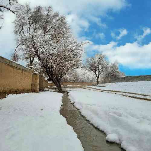 مرتضی برجسته مردن از دست عزیزان شده این رسم کجا